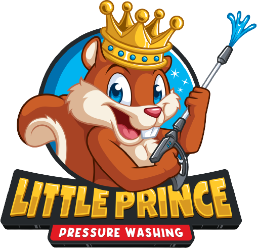 Pressure Washing Service Seattle WA Logo